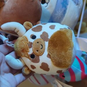 Squishmallow clip Alonzo